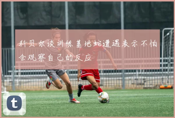 科贝尔谈训练基地蛇遭遇表示不怕会观察自己的反应